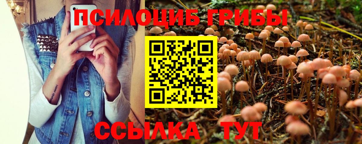 Арзамас  Псилоцибиновые грибы GOLDEN TEACHER  Вход с VPN 
